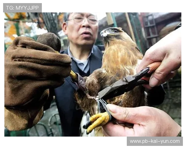 球迷扔出的假牙被门将捡起戴嘴上，扑点时露出诡异笑容吓飞射手